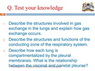Q. Test your knowledge
1. Describe the structures involved in gas
exchange in the lungs and explain how gas
exchange occurs.
2. Describe the structures and functions of the
conducting zone of the respiratory system.
3. Describe how each lung is
compartmentalized by the pleural
membranes. What is the relationship
between the visceral and parietal pleurae?
90
Physiology of the Respiratory System...Edwin Ruoti BsN; MsP
 