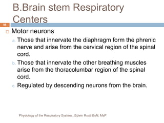 B.Brain stem Respiratory
Centers
 Motor neurons
a. Those that innervate the diaphragm form the phrenic
nerve and arise from the cervical region of the spinal
cord.
b. Those that innervate the other breathing muscles
arise from the thoracolumbar region of the spinal
cord.
c. Regulated by descending neurons from the brain.
98
Physiology of the Respiratory System...Edwin Ruoti BsN; MsP
 