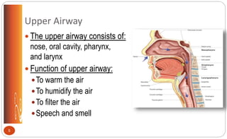 Upper Airway
 The upper airway consists of:
nose, oral cavity, pharynx,
and larynx
 Function of upper airway:
To warm the air
To humidify the air
To filter the air
Speech and smell
5
 