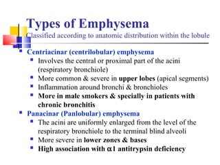 Types of Emphysema
Classified according to anatomic distribution within the lobule
 Centriacinar (centrilobular) emphysema
 Involves the central or proximal part of the acini
(respiratory bronchiole)
 More common & severe in upper lobes (apical segments)
 Inflammation around bronchi & bronchioles
 More in male smokers & specially in patients with
chronic bronchitis
 Panacinar (Panlobular) emphysema
 The acini are uniformly enlarged from the level of the
respiratory bronchiole to the terminal blind alveoli
 More severe in lower zones & bases
 High association with α1 antitrypsin deficiency
 