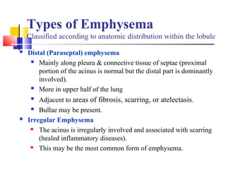 Types of Emphysema
Classified according to anatomic distribution within the lobule
 Distal (Paraseptal) emphysema
 Mainly along pleura & connective tissue of septae (proximal
portion of the acinus is normal but the distal part is dominantly
involved).
 More in upper half of the lung
 Adjacent to areas of fibrosis, scarring, or atelectasis.
 Bullae may be present.
 Irregular Emphysema
 The acinus is irregularly involved and associated with scarring
(healed inflammatory diseases).
 This may be the most common form of emphysema.
 