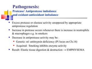 Pathogenesis:
Protease/ Antiprotease imbalance
and oxidant-antioxidant imbalance
 Excess protease or elastase activity unopposed by appropriate
antiprotease regulation
 Increase in protease occurs whenever there is increase in neutrophils
& macrophages e.g. in smokers
 Decrease in antiprotease activity may be:
 Genetic: α1 antitrypsin deficiency (Pi locus on Ch.14)
 Acquired: Smoking inhibits enzyme activity
 Result: Elastic tissue digestion & destruction → EMPHYSEMA
 