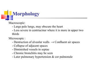 Morphology
Macroscopic:
- Large pale lungs, may obscure the heart
- Less severe in centriacinar where it is more in upper two
thirds
Microscopic :
- Destruction of alveolar walls → Confluent air spaces
- Collapse of adjacent spaces
- Diminished vessels in septae
- Chronic bronchitis may be seen
- Later pulmonary hypertension & cor pulmonale
 