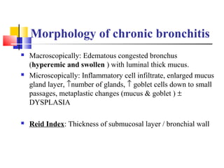 Morphology of chronic bronchitis
 Macroscopically: Edematous congested bronchus
(hyperemic and swollen ) with luminal thick mucus.
 Microscopically: Inflammatory cell infiltrate, enlarged mucus
gland layer, ↑number of glands, ↑ goblet cells down to small
passages, metaplastic changes (mucus & goblet ) ±
DYSPLASIA
 Reid Index: Thickness of submucosal layer / bronchial wall
 