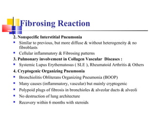 Fibrosing Reaction
2. Nonspecific Interstitial Pneumonia
 Similar to previous, but more diffuse & without heterogeneity & no
fibroblasts
 Cellular inflammatory & Fibrosing patterns
3. Pulmonary involvement in Collagen Vascular Diseases :
 Systemic Lupus Erythematosus ( SLE ), Rheumatoid Arthritis & Others
4. Cryptogenic Organizing Pneumonia
 Bronchiolitis Obliterans Organizing Pneumonia (BOOP)
 Many causes (inflammatory, vascular) but mainly cryptogenic
 Polypoid plugs of fibrosis in bronchioles & alveolar ducts & alveoli
 No destruction of lung architecture
 Recovery within 6 months with steroids
 