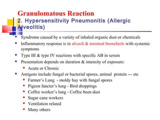 Granulomatous Reaction
2. Hypersensitivity Pneumonitis (Allergic
Alveolitis)
 Syndrome caused by a variety of inhaled organic dust or chemicals
 Inflammatory response is in alveoli & terminal bronchiols with systemic
symptoms
 Type III & type IV reactions with specific AB in serum
 Presentation depends on duration & intensity of exposure:
 Acute or Chronic
 Antigens include fungal or bacterial spores, animal protein --- etc
 Farmer’s Lung - moldy hay with fungal spores
 Pigeon fancier’s lung - Bird droppings
 Coffee worker’s lung - Coffee been dust
 Sugar cane workers
 Ventilation related
 Many others
 