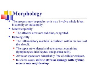 Morphology
 The process may be patchy, or it may involve whole lobes
bilaterally or unilaterally.
 Macroscopically:
 The affected areas are red-blue, congested.
 Histologically:
 The inflammatory reaction is confined within the walls of
the alveoli.
 The septa are widened and edematous; containing
(lymphocytes, histiocytes, and plasma cells).
 Alveolar spaces are remarkably free of cellular exudate.
 In severe cases, diffuse alveolar damage with hyaline
membranes may develop.
 