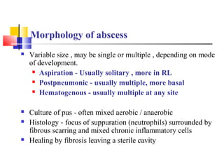 Morphology of abscess
 Variable size , may be single or multiple , depending on mode
of development.
 Aspiration - Usually solitary , more in RL
 Postpneumonic - usually multiple, more basal
 Hematogenous - usually multiple at any site
 Culture of pus - often mixed aerobic / anaerobic
 Histology - focus of suppuration (neutrophils) surrounded by
fibrous scarring and mixed chronic inflammatory cells
 Healing by fibrosis leaving a sterile cavity
 