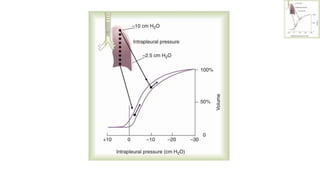 respiratory mechanics, oxygen cascade & oxygen dissociation curve.pptx