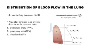 respiratory mechanics, oxygen cascade & oxygen dissociation curve.pptx