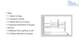 respiratory mechanics, oxygen cascade & oxygen dissociation curve.pptx