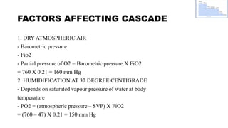 respiratory mechanics, oxygen cascade & oxygen dissociation curve.pptx