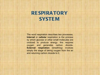 RESPIRATORY SYSTEM The word respiration describes two processes.  Internal  or  cellular  respiration is the process by which glucose or other small molecules are oxidized to produce energy: this requires oxygen and generates carbon dioxide.  External respiration  (breathing) involves simply the stage of taking oxygen from the air and returning carbon dioxide to it. 