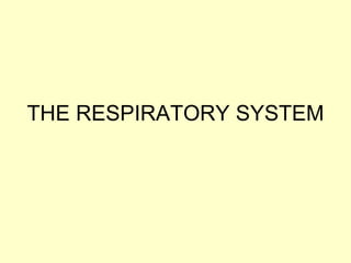 THE RESPIRATORY SYSTEM 