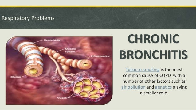The Respiration and the Problems of Respiratory System