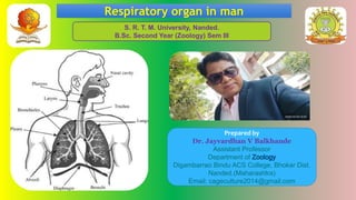 Respiratory organ in man
Prepared by
Dr. Jayvardhan V Balkhande
Assistant Professor
Department of
Digambarrao Bindu ACS College, Bhokar Dist.
Nanded.(Maharashtra)
Email: cageculture2014@gmail.com
S. R. T. M. University, Nanded.
B.Sc. Second Year (Zoology) Sem III
 
