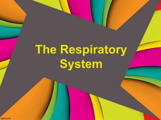 The Respiratory
System
 