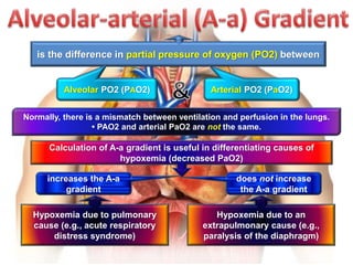 Pao2 And Pao2 Respiratory pathology | PPTX