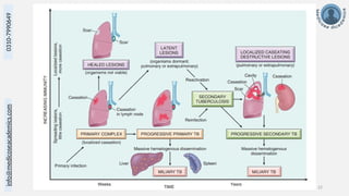 info@medicoseacademics.com
0310-7990649
Dr. Sidra Arshad, Asst. Prof. Physiology 22
 