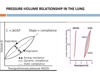 PRESSURE-VOLUME RELATIONSHIP IN THE LUNG
 