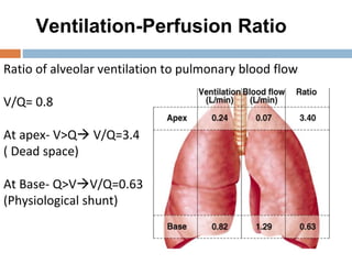 Ventilation-Perfusion Ratio
Ratio of alveolar ventilation to pulmonary blood flow
V/Q= 0.8
At apex- V>Q V/Q=3.4
( Dead space)
At Base- Q>VV/Q=0.63
(Physiological shunt)
 