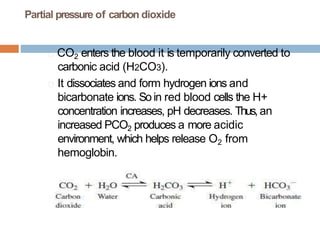 Partial pressure of carbon dioxide
🞑 CO2 enters the blood it is temporarily converted to
carbonic acid (H2CO3).
🞑 It dissociates and form hydrogen ions and
bicarbonate ions. Soin red blood cells the H+
concentration increases, pH decreases. Thus, an
increased PCO2 produces a more acidic
environment, which helps release O2 from
hemoglobin.
 