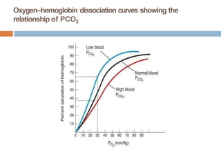Oxygen–hemoglobin dissociation curves showing the
relationship of PCO2
 