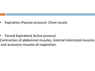 • Expiration (Passive process)- Chest recoils
• Forced Expiration( Active process)
Contraction of abdominal muscles, Internal intercostal muscles
and accessory muscles of respiration.
 