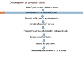 Concentration of oxygen In blood
When O2 concentration in blood decreases
Stimulates the peripheral chemoreceptors
Transmission of impulses to respiratory centers
Activation of respiratory centers
Increases the activities of respiration (rate and Depth)
Increase alveolar ventilation
Increases the uptake of O2

Thereby increases the level of O2 in blood
 