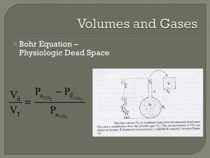 dead space of lung