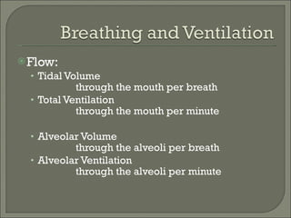 Flow: Tidal Volume through the mouth per breath Total Ventilation through the mouth per minute Alveolar Volume through the alveoli per breath Alveolar Ventilation through the alveoli per minute 