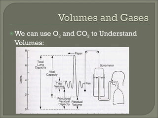 We can use O 2  and CO 2  to Understand Volumes: 