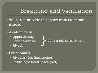 We can subdivide the space from the mouth inside: Anatomically Upper Airways  Lower Airways Alveoli Functionally Alveolar (Gas Exchanging) Physiologic Dead Space (Not) } Anatomic Dead Space 