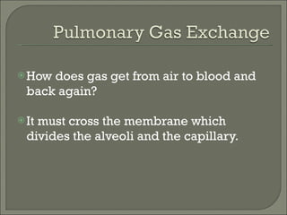 How does gas get from air to blood and back again? It must cross the membrane which divides the alveoli and the capillary. 