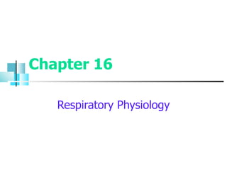 Chapter 16 Respiratory Physiology 