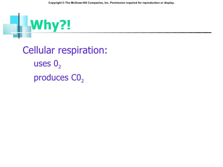 Respiratory Physiology