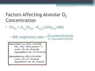 Factors Affecting Alveolar O2
Concentration
• PAO2 = FO2
(Patm –PH2O)-(PACO2/RR)
▫ RR: respiratory ratio =CO2 produced ml/min
O2 consumed ml/min
 