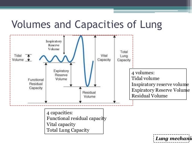 Respiratory physiology