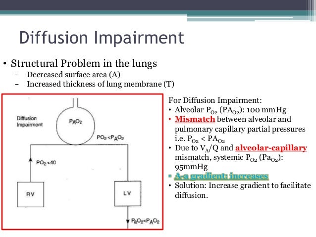 Respiratory physiology