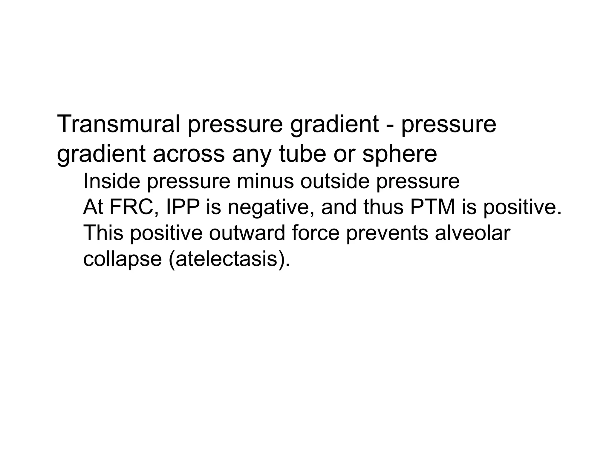 Respiratory Physiology.pdf
