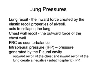 Respiratory Physiology.pdf