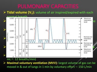 Respiratory Physiology_human_veterinary.pptx