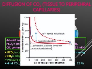 Respiratory Physiology_human_veterinary.pptx