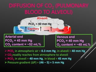 Respiratory Physiology_human_veterinary.pptx