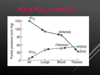 Po2 Pco2 Respiration Respiratory Physiology_human_veterinary.pptx