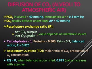 Respiratory Physiology_human_veterinary.pptx
