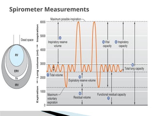 Respirometer Graph Output respiratory physiology.pptx and anatomy eee | PPTX