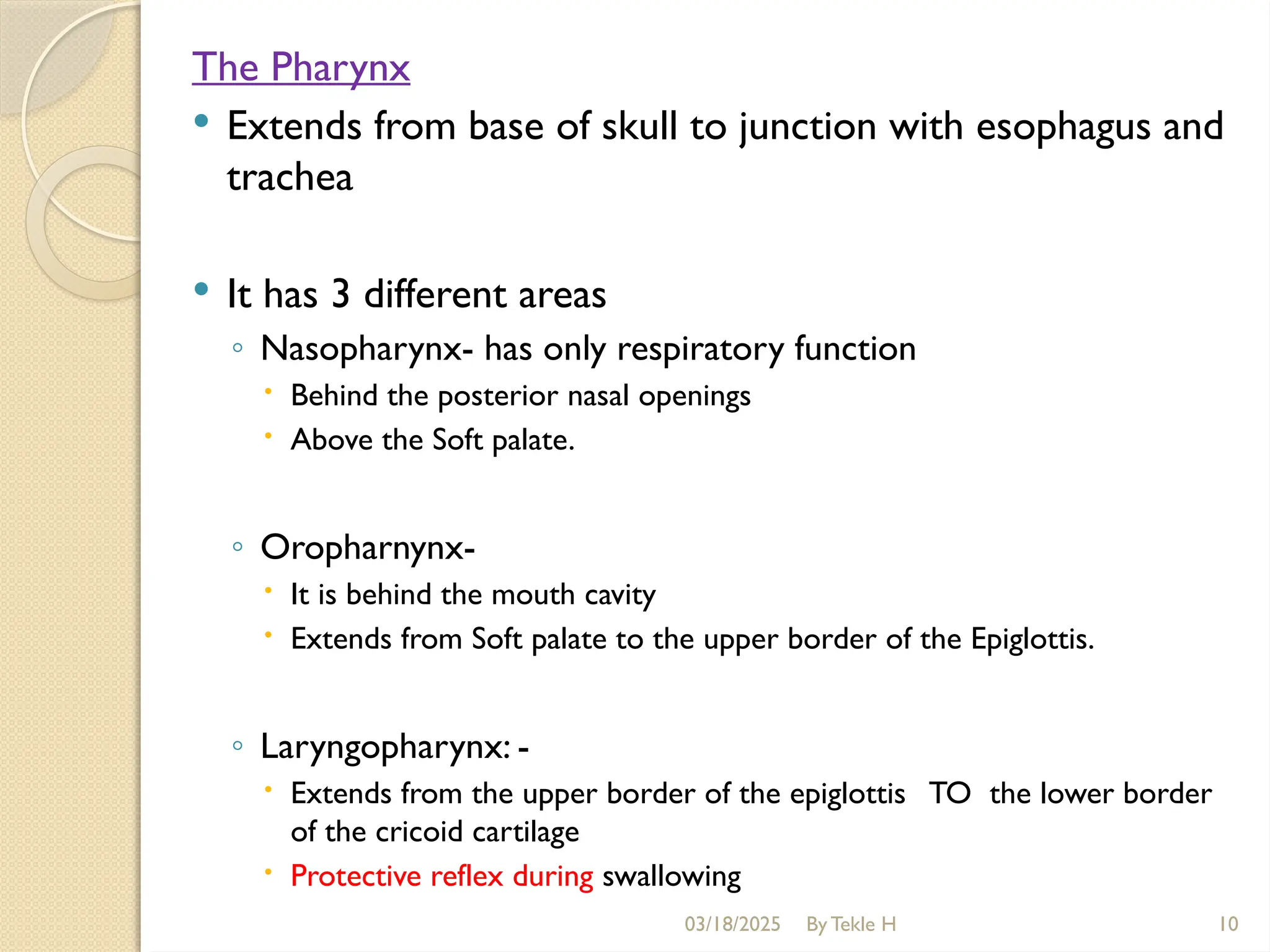 03/18/2025 By Tekle H 10
The Pharynx
 Extends from base of skull to junction with esophagus and
trachea
 It has 3 different areas
◦ Nasopharynx- has only respiratory function
 Behind the posterior nasal openings
 Above the Soft palate.
◦ Oropharnynx-
 It is behind the mouth cavity
 Extends from Soft palate to the upper border of the Epiglottis.
◦ Laryngopharynx: -
 Extends from the upper border of the epiglottis TO the lower border
of the cricoid cartilage
 Protective reflex during swallowing
 