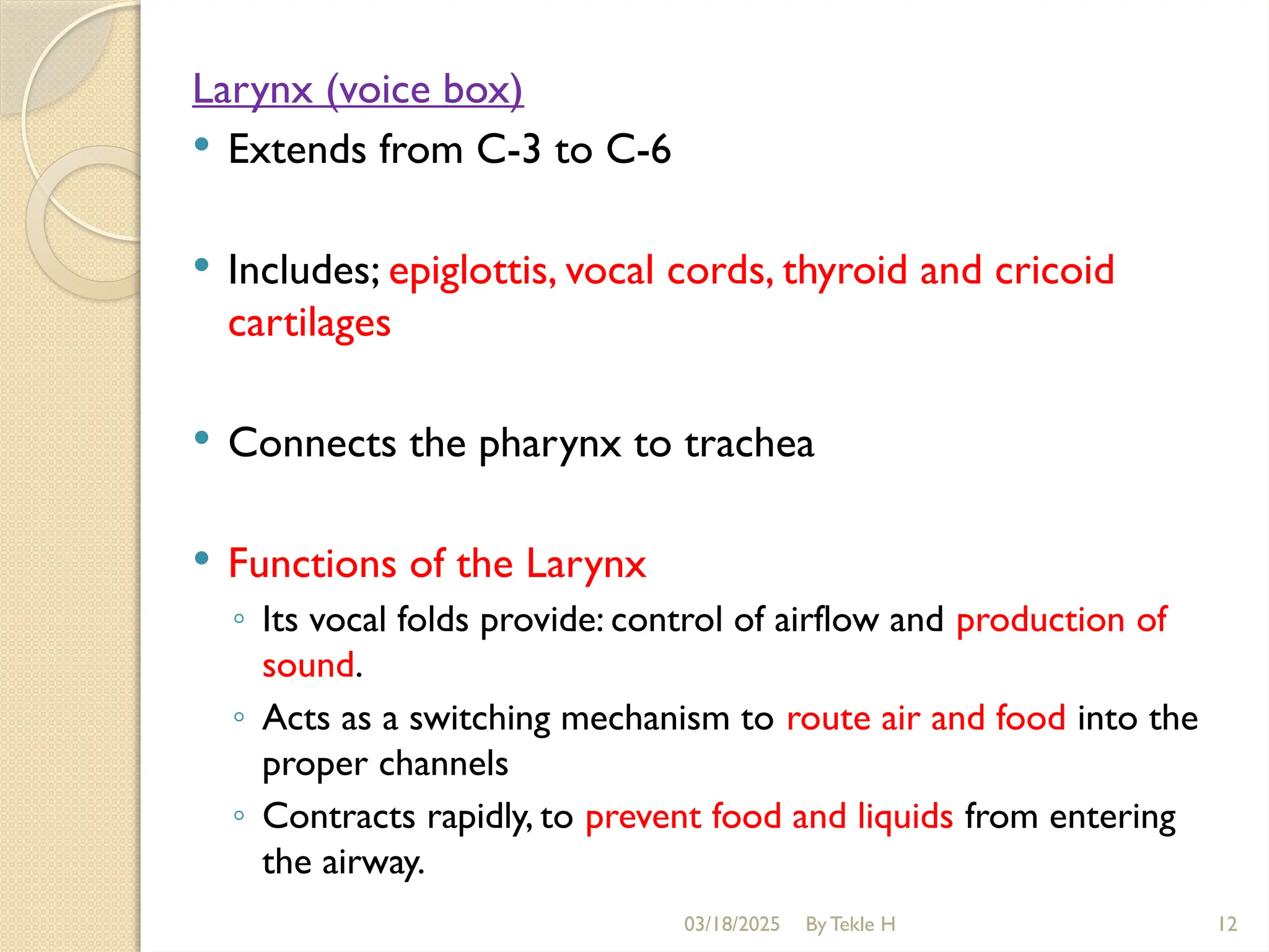 03/18/2025 By Tekle H 12
Larynx (voice box)
 Extends from C-3 to C-6
 Includes; epiglottis, vocal cords, thyroid and cricoid
cartilages
 Connects the pharynx to trachea
 Functions of the Larynx
◦ Its vocal folds provide: control of airflow and production of
sound.
◦ Acts as a switching mechanism to route air and food into the
proper channels
◦ Contracts rapidly, to prevent food and liquids from entering
the airway.
 