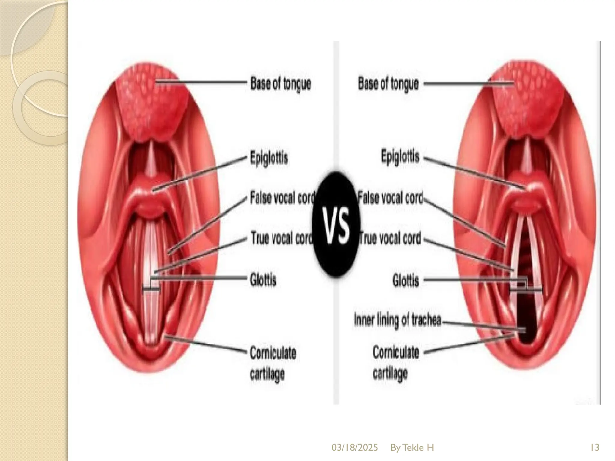 03/18/2025 By Tekle H 13
 